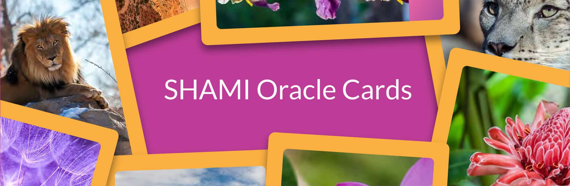 Shami Oracle Cards